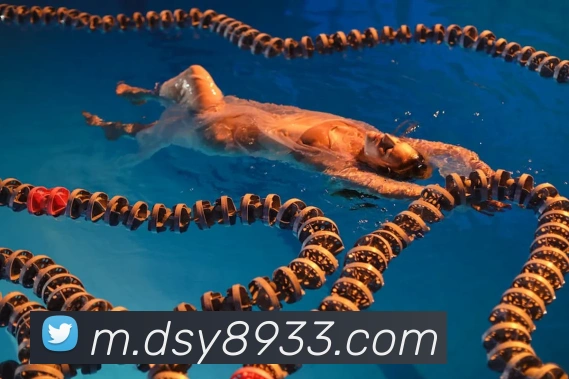 大三元官网平台登录平台生态图