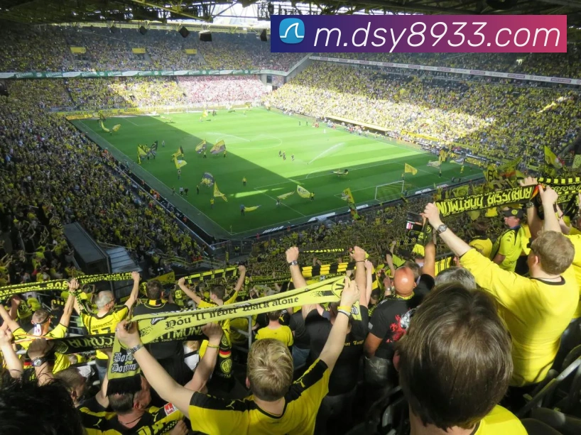 大三元官网平台登录APP 封面图